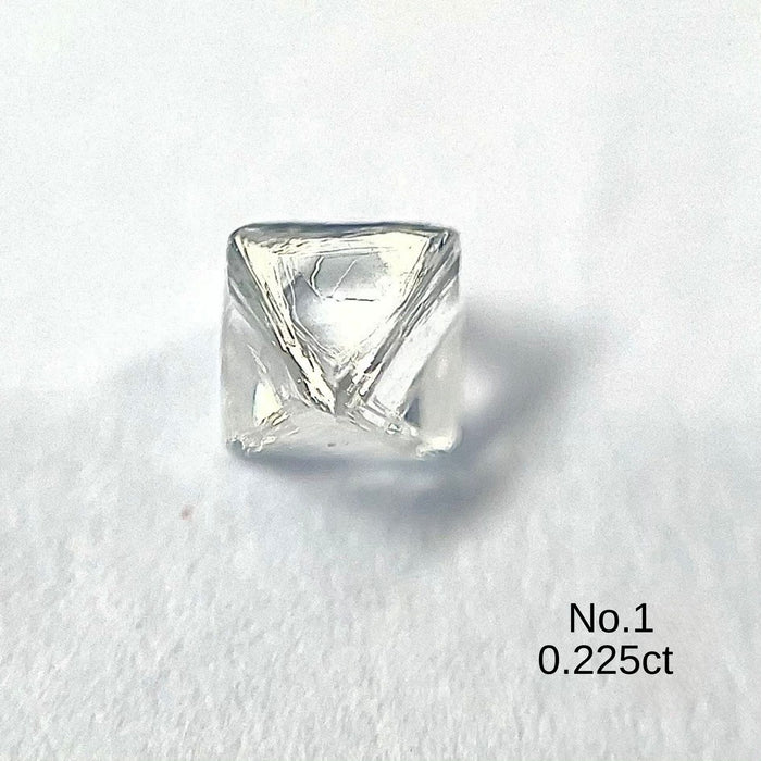 天然ダイヤモンド原石 ソーヤブル 0.2ct以上|Rough Diamond| w1713