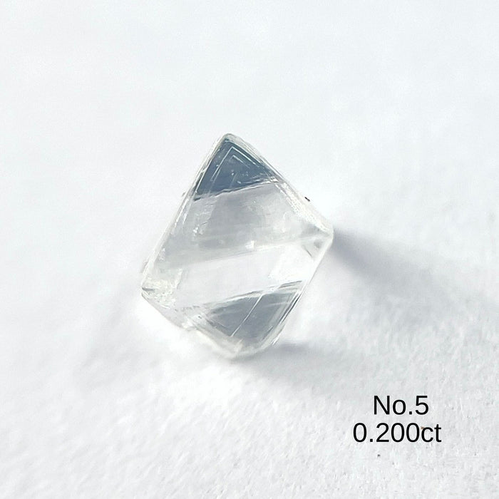 天然ダイヤモンド原石 ソーヤブル 0.2ct以上|Rough Diamond| w1713